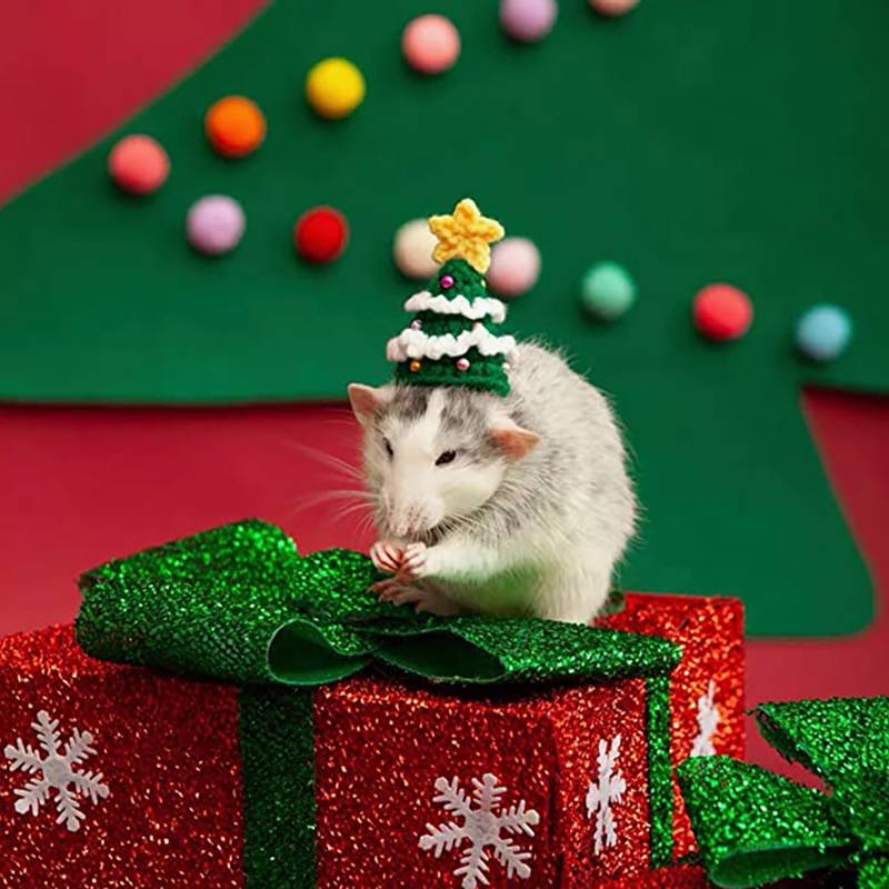 Hand Woven Pet Christmas Hat D – Santa Hat Plush Bewertung und Preis