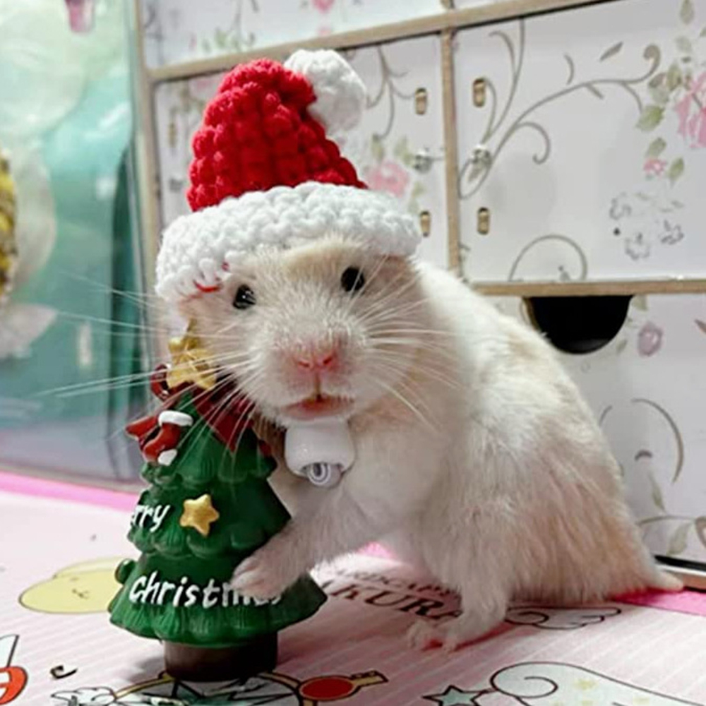 Hand Woven Pet Christmas Hat D – Santa Hat Plush Bewertung und Preis