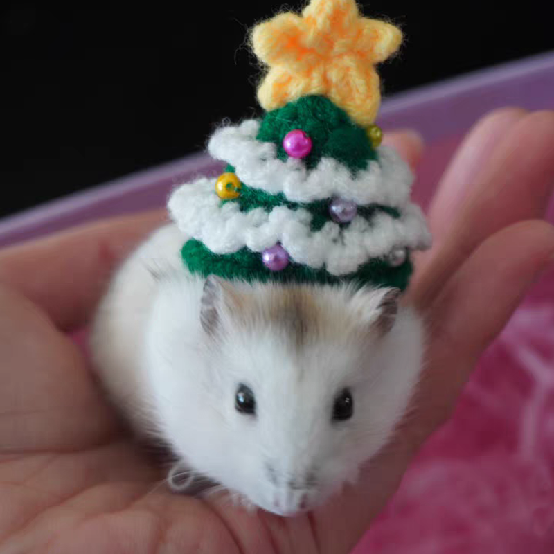 Hand Woven Pet Christmas Hat D – Santa Hat Plush Bewertung und Preis
