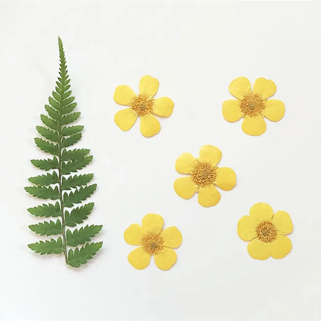 1.5-2cm/24pcs,Nature Real butt – Holiday Candle Set Bewertung und Preis