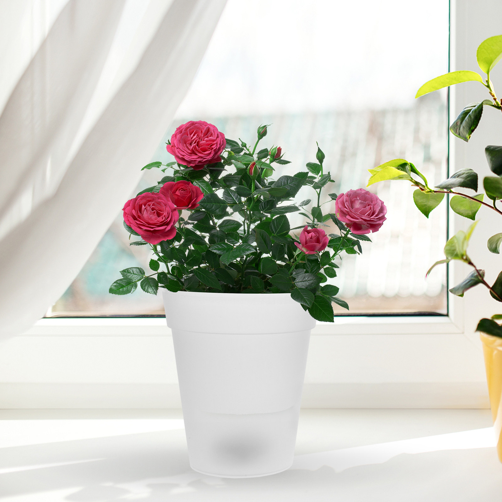 Flowerpot Solar Light Outdoor  – Christmas Lights Outdoor Bewertung und Preis