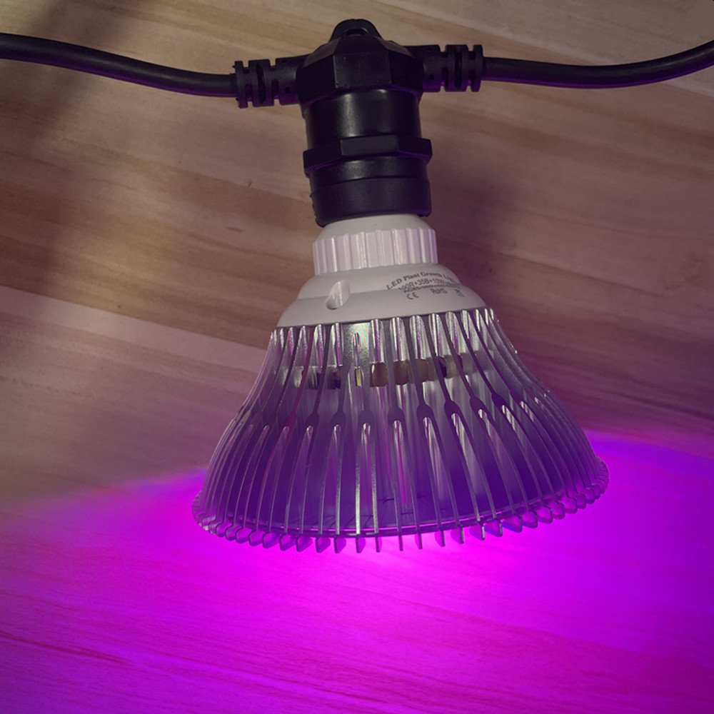 10M Cable LED String Commercia – Led Fairy String Lights Bewertung und Preis