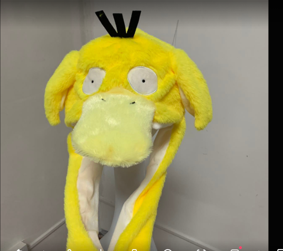 New Cartoon Cute Doll Pokemon  – Santa Hat Plush Bewertung und Preis