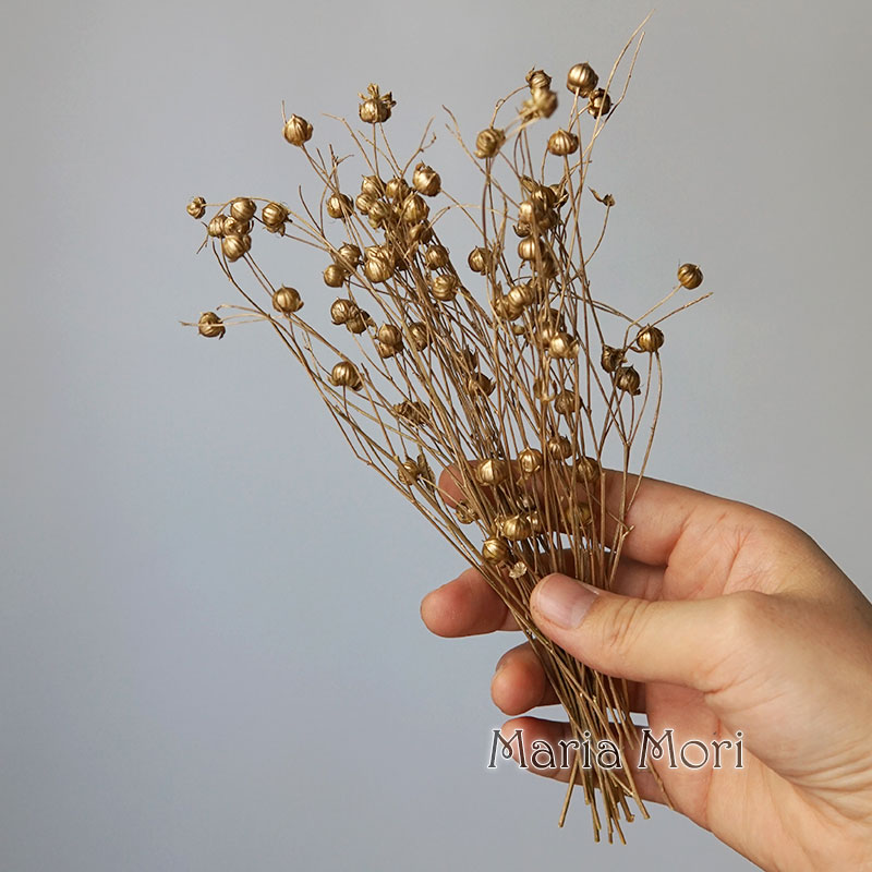 5g Preserved Flax Bean Natural – Holiday Candle Set Bewertung und Preis