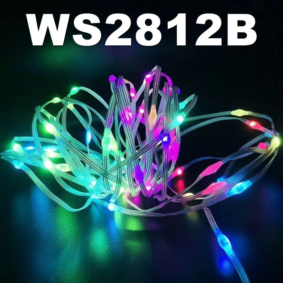 WS2812B LED Light String Smart – Led Fairy String Lights Bewertung und Preis