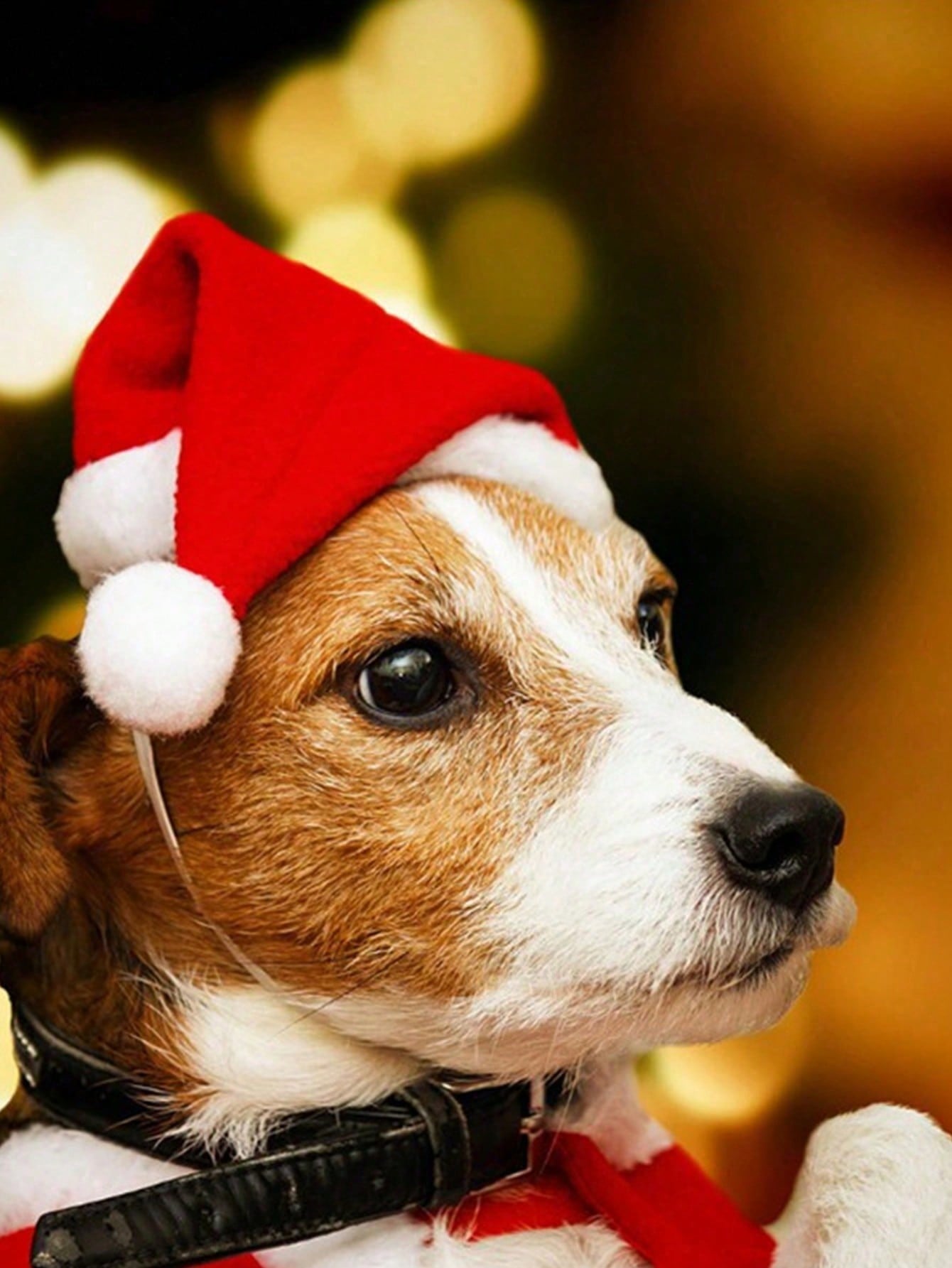 Plush Santa Hat for Dog Cat, S – Santa Hat Plush Bewertung und Preis